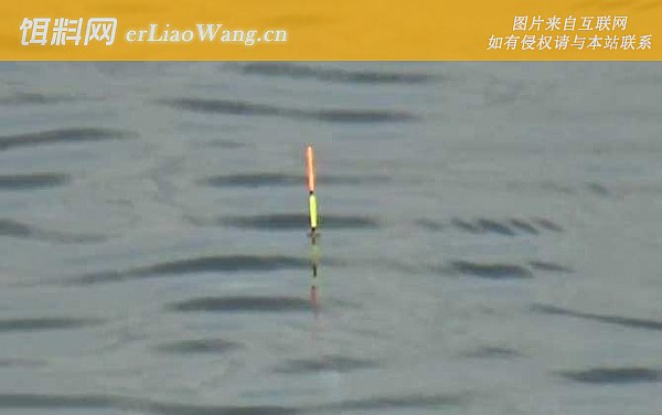 调漂:挂饵测重