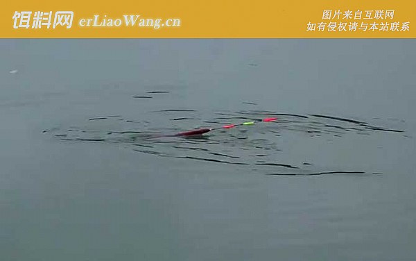 水库钓鱼:葫芦口