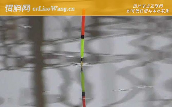 水库钓鱼:果树下