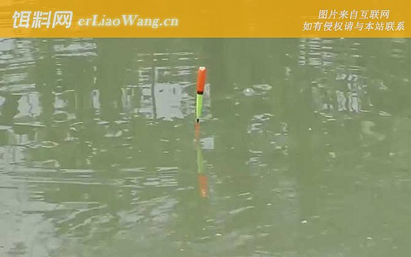 夏季钓鱼:最佳天气