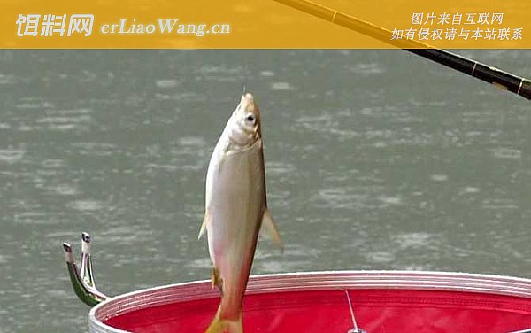 夏季钓鱼:钓点选择