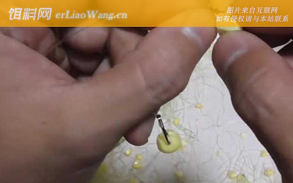 玉米钓鱼:底浮论述