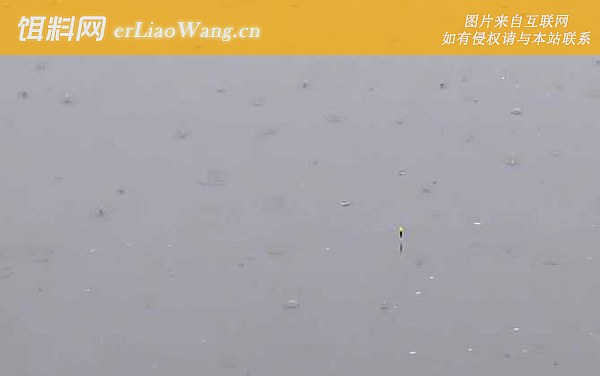 调四钓二:状态不同