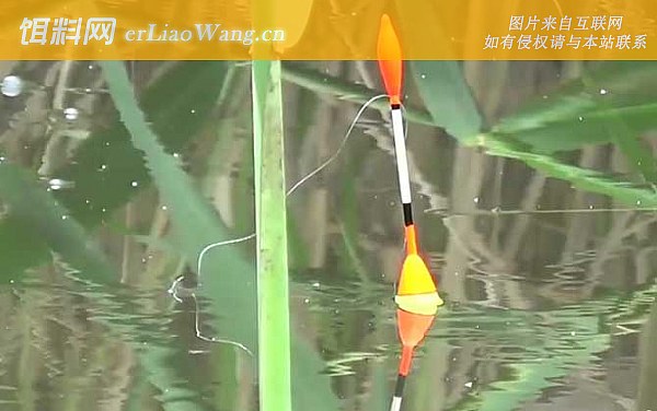 钓鱼:时间