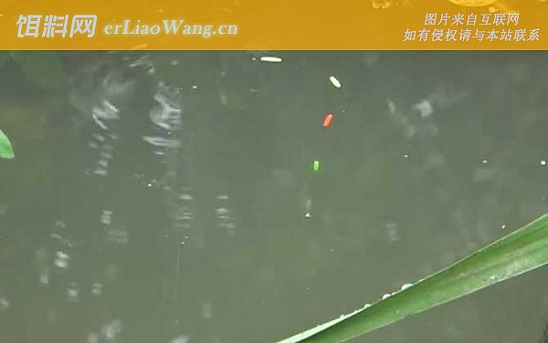 钓鱼:钓具