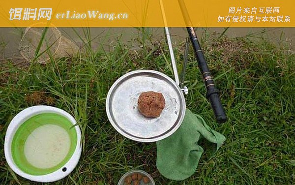 水库钓鱼:水草区