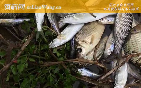 冬季钓鱼:钓点选择