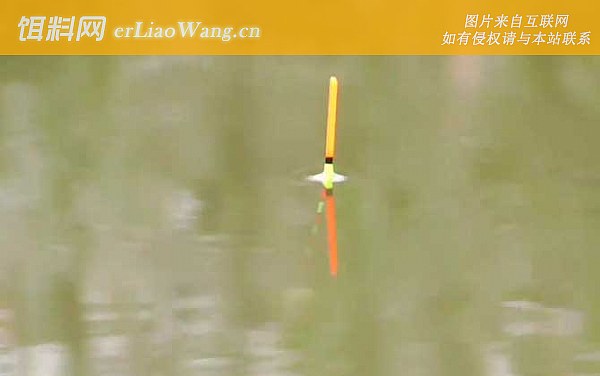 调四钓二:调漂方法