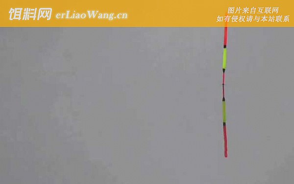 调五目钓三目:调整钓目