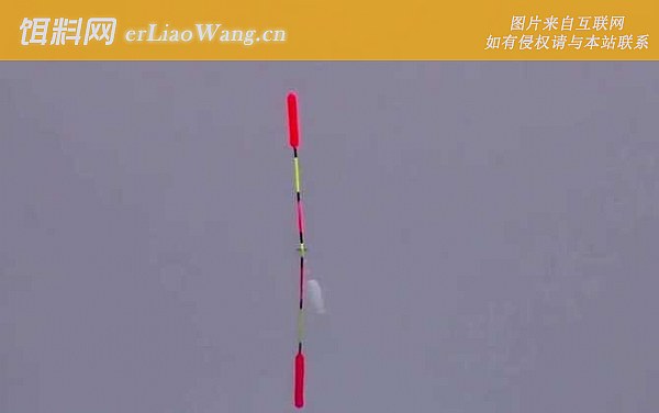 调四钓二:鱼情不同