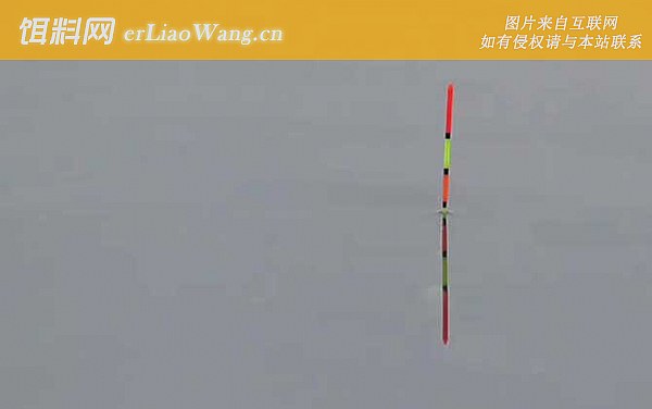 调漂:挂饵测重