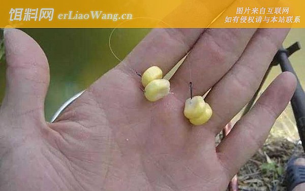 玉米钓鱼:调漂