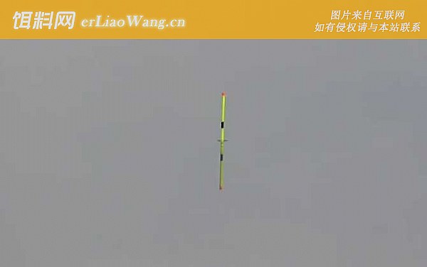 钓鱼:鱼种