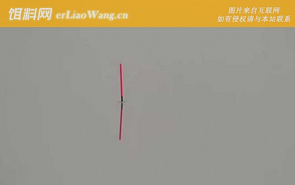 钓鱼:风向