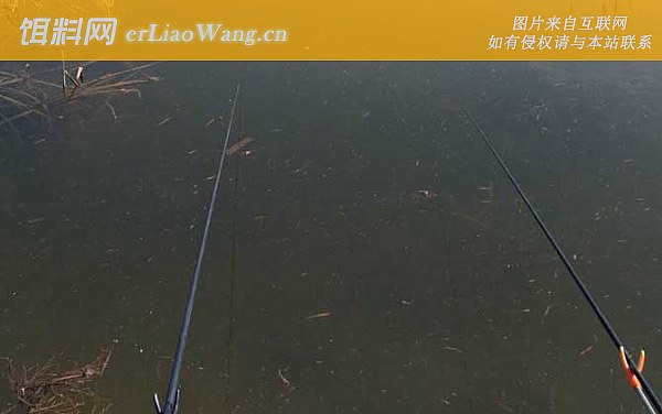 冬季钓鱼:钓点选择