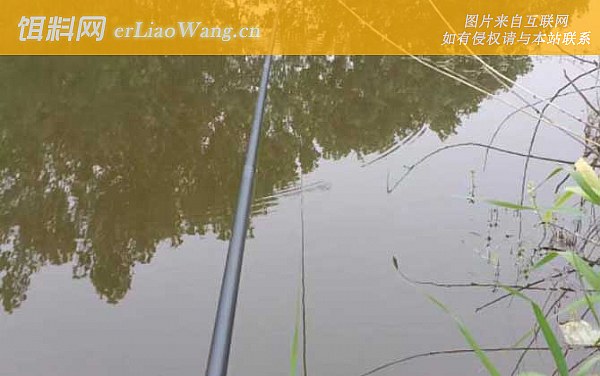 春季钓鱼:作钓深度