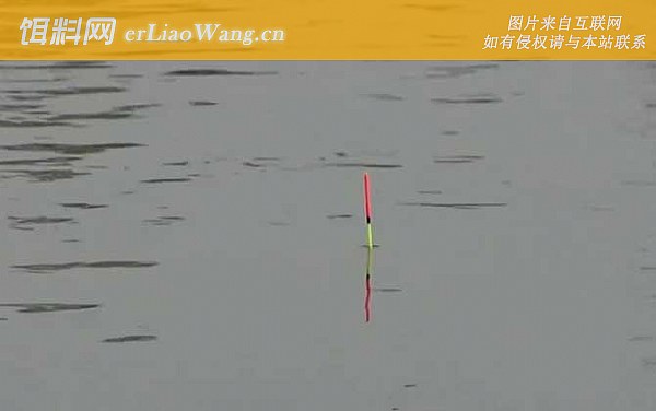 水库钓鱼:密度问题