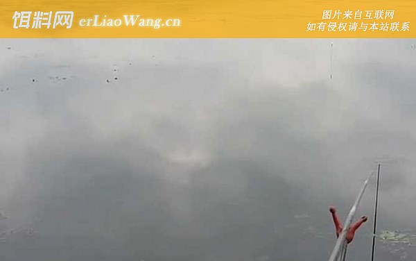 水库钓鱼:钓位问题