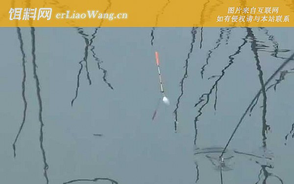 调漂:调漂过程