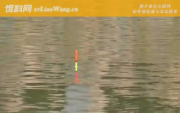 调漂:灵顿论述