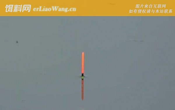 调漂:调三钓一