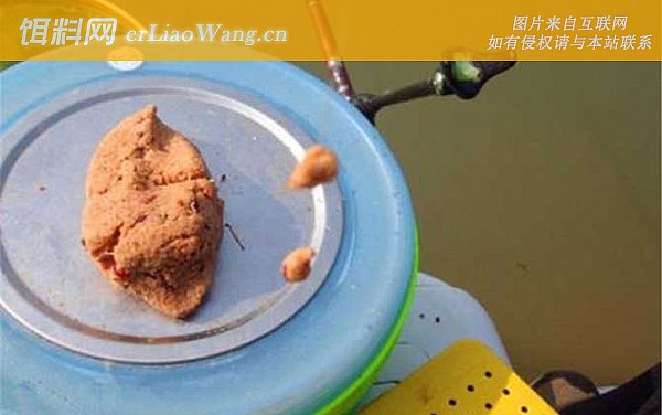 钓鱼:饵料