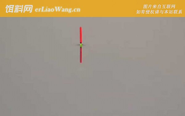 水库钓鱼:底浮论述