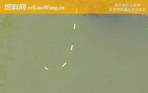 水库钓鱼:最佳时间