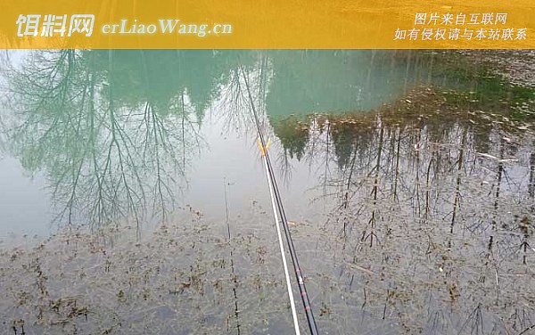 冬天钓鱼:河汊口