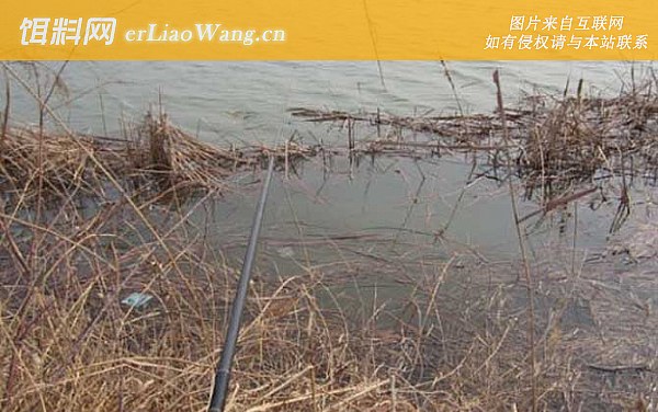 冬天钓鱼:葫芦口