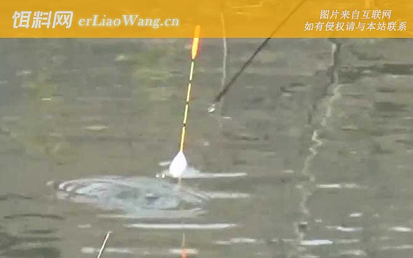 夏季钓鱼:风向