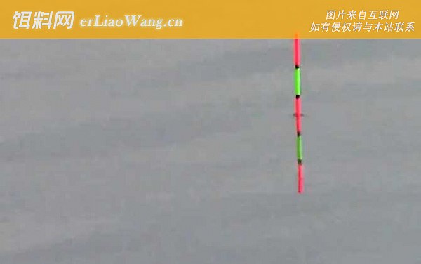 调漂:调五钓三