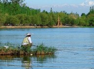 《春季钓鱼分三季早春仲春和暮春》