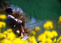 《春季钓鱼四选择天气水域钓位时机》
