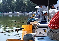 《为什么台钓时漂有动作却是空竿》