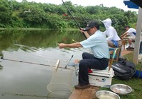 《台钓基本功(抛竿、压水、扬竿)》