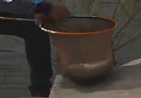 《《渔我同行》第262集 卧牛水库小崔钓草鱼》