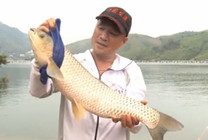《《去钓鱼》第84集 贵州红水河全国野钓大赛落幕》