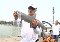 《《钓点大对决》第9集 对决湖北梁子岛渔场》