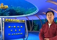 《《程宁钓鱼视频》第50集 如何选择鱼钩》
