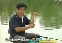 《《程宁钓鱼视频》浮钓鲫鱼 第3集:浮漂的鱼讯语言》