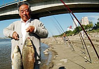 水库湖泊大水域用海竿抛竿钓深水大鱼的技巧方法