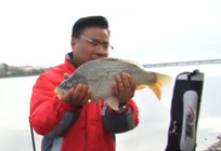 《《游钓江湖》第二季 第17集 哈尔滨长岭湖野生大鲤鱼》封面图