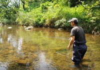 《野钓溪流水域时饰带式毛钩的特点》