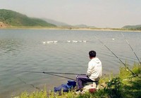 《钓友分享外出钓鱼的黄金时段》