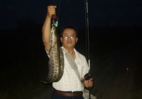 《《路亚钓鱼视频》使用夜光蛙路亚黑鱼技巧》