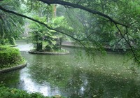 《《路亚钓鱼视频》雨天路亚黑鱼的选位技巧》