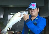 《《路亚钓鱼视频》吕泗渔场码头下的海鲈鱼》