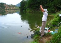 《民间钓法轻松应对野外复杂地形垂钓大鱼》