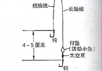 传统钓与台钓结合的双钩组合钓法